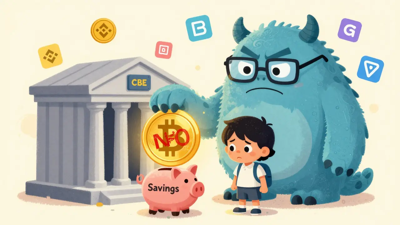 Egyptian Banks and Crypto Transaction Monitoring: How Restrictions Are Enforced in 2026